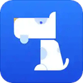 车主查违章app