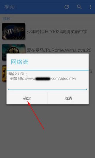 如何播放网络视频配图3
