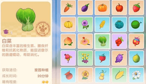 摩尔庄园手游白菜怎么获得