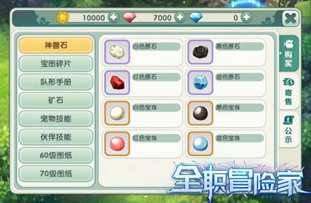 全职冒险家2