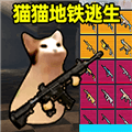 猫猫地铁逃生