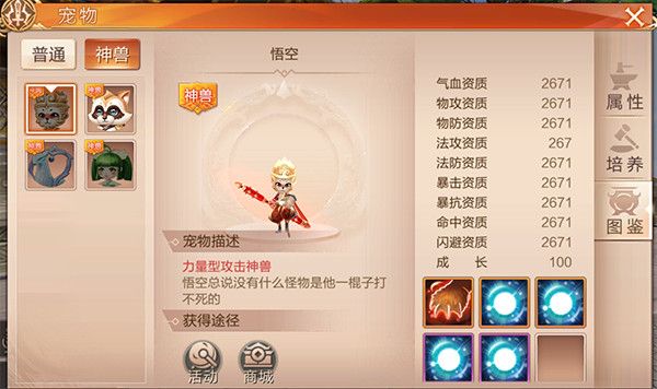 天空纪元n服图片9
