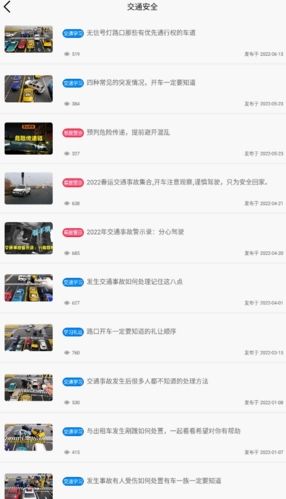 失信人核查平台官方版图片1