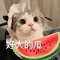 这瓜你吃定了!盘点《盛世遮天》中的多人运动! 这瓜你吃定了!盘点《盛世遮天》中的多人运动!