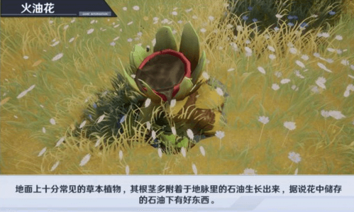 幻塔燃油花打法攻略_52z.com
