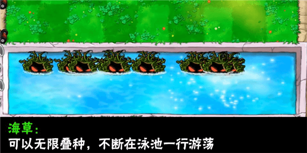 植物介绍配图16