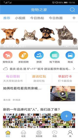 宠物之家图片