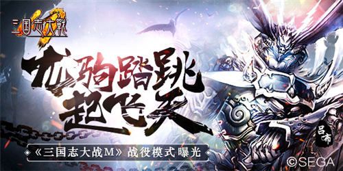 三国志大战M