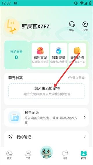 怎么创建宠物档案配图3