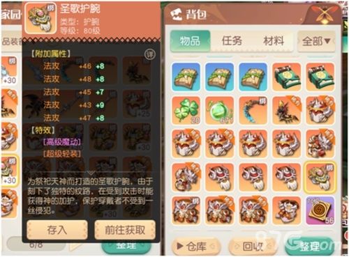 梦想新大陆装备圣歌护腕