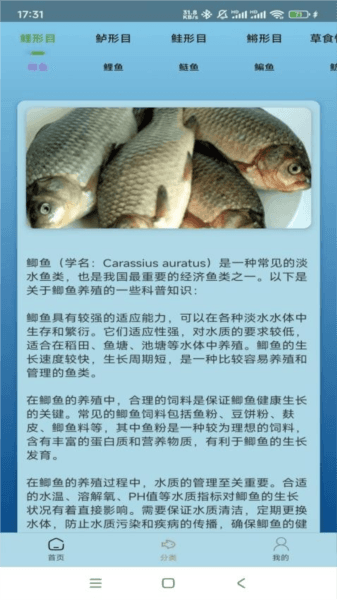 点点养殖图片