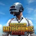 绝地求生亚服下载_绝地求生亚服手机版下载 v4.4.0安卓版