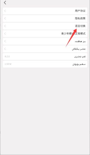 怎么切换语言配图4