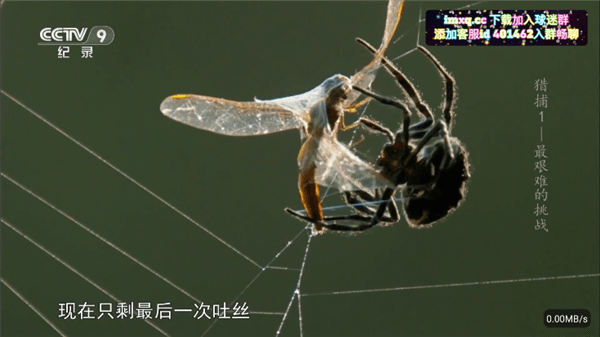 怎么使用配图4
