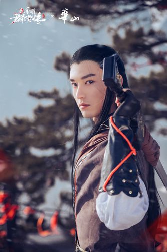 新射雕群侠传之铁血丹心8