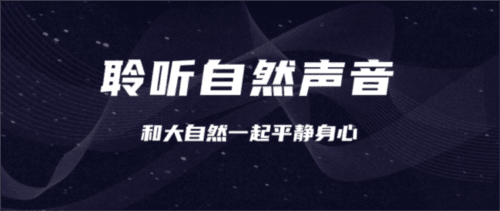 睡眠监控助手app软件功能