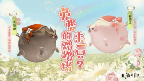 天涯明月刀5