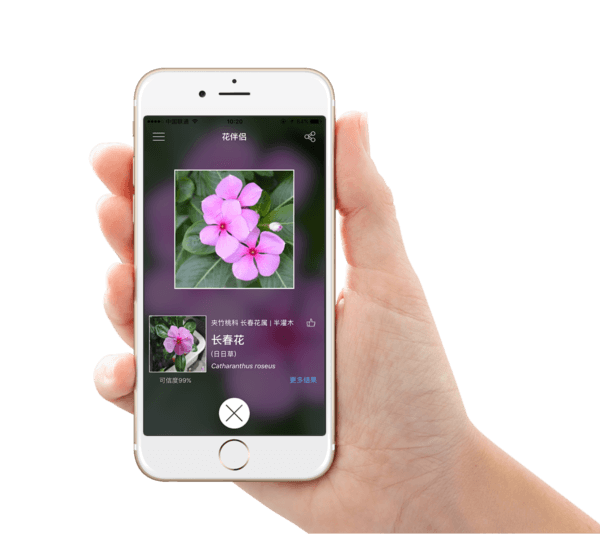 花伴侣app2