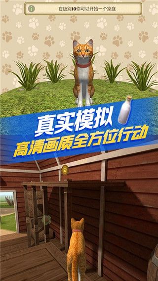游戏特色配图1