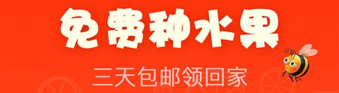 红淘淘app软件特色