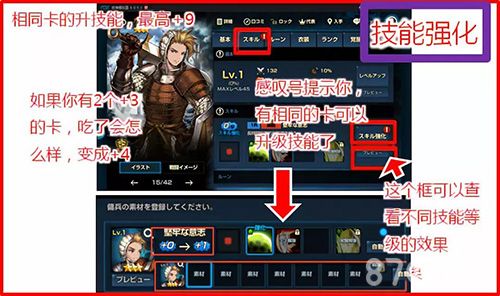 棕色尘埃技能升级攻略2