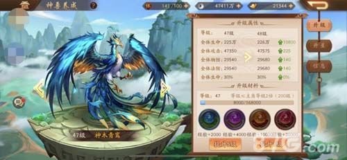 《少年三国志2》神木青鸾养成