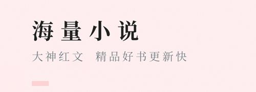 快眼看书小说app软件特色