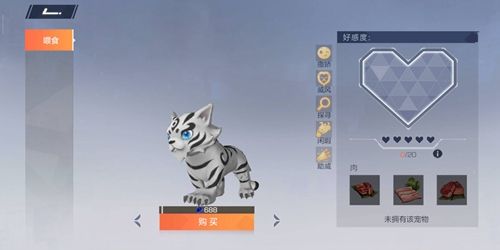 风云岛行动小白