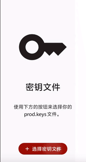 nyushu模拟器图片2