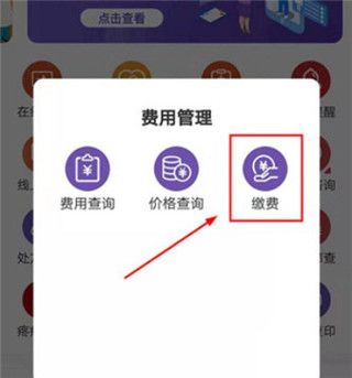 北肿云病历app5