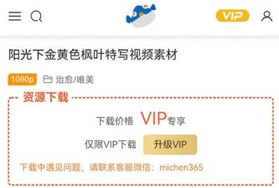 米鱼素材网app应用介绍2