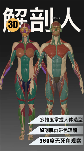3D速写模型app宣传图