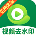 视频去除水印app