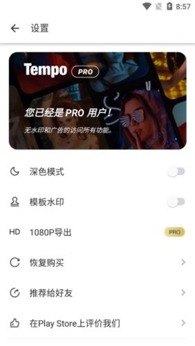 Tempo会员解锁版宣传图