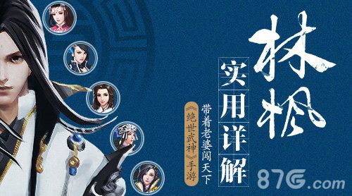 绝世武神林枫详解