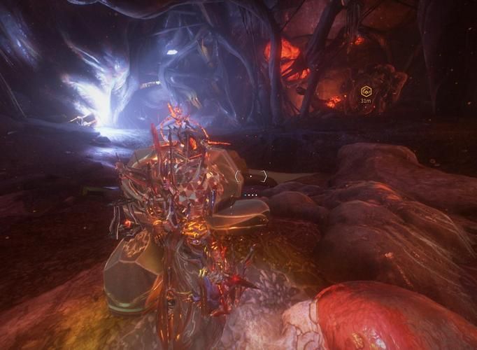 星际战甲火卫二鸟在哪里抓 星际战甲火卫二鸟在哪里抓