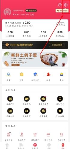 小白菇app如何退出上线图片1