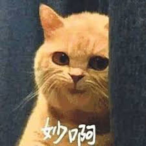 死亡搁浅12