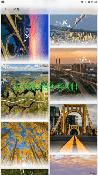 伞果壁纸图片