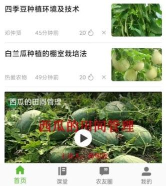 齐鲁乡村网络学院2