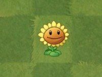 植物角色介绍配图1