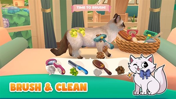 猫咪救援故事宣传图