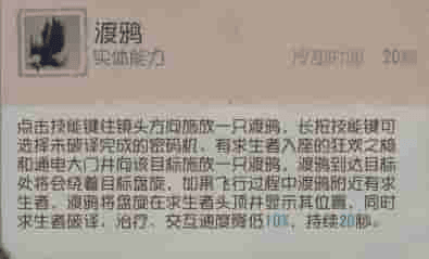 第五人格5