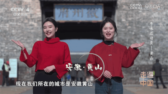 悠悠电视TV版图片6