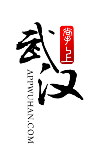 掌上武汉app1