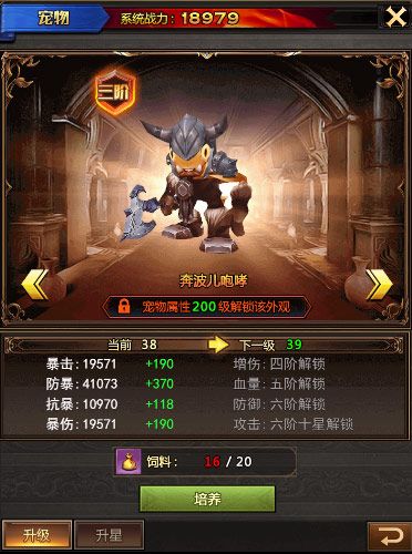 (宠物)