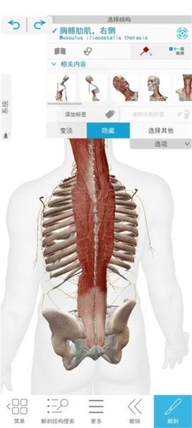解剖和生理学软件截图6