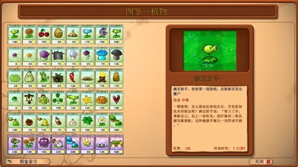 植物推荐配图1