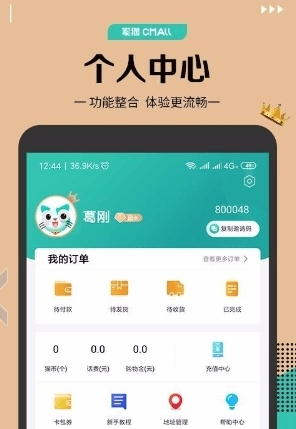 聪猫
