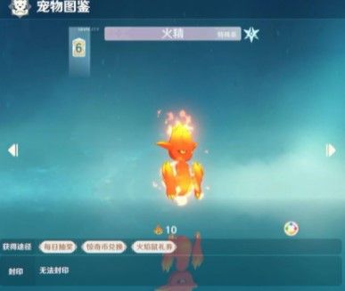 宠物推荐配图3